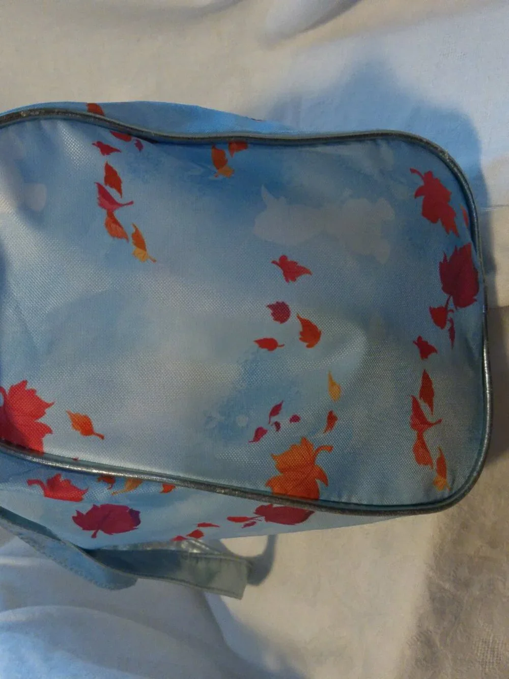 Disney Frozen II Slumber Bag & Travel Bag EUC